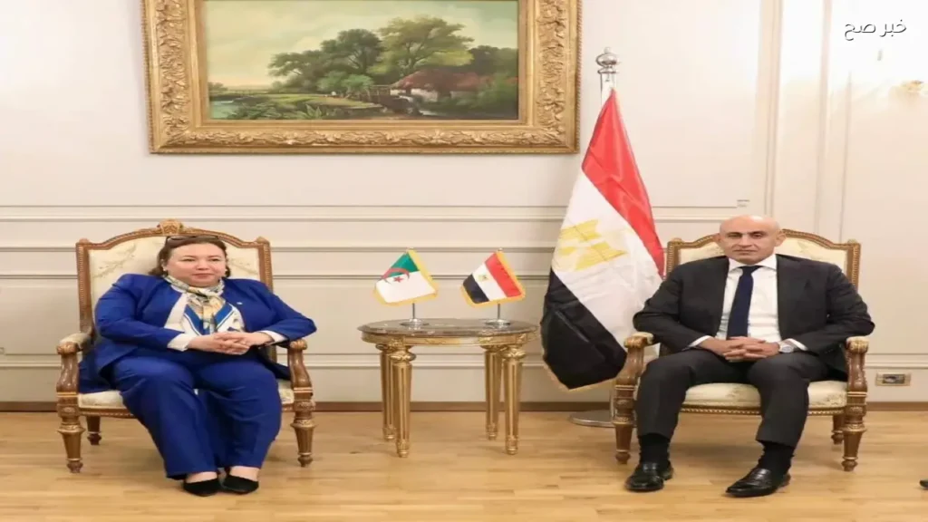 مصر والجزائر تبحثان تطوير التعليم الفني لربطه بسوق العمل