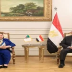 مصر والجزائر تبحثان تطوير التعليم الفني لربطه بسوق العمل