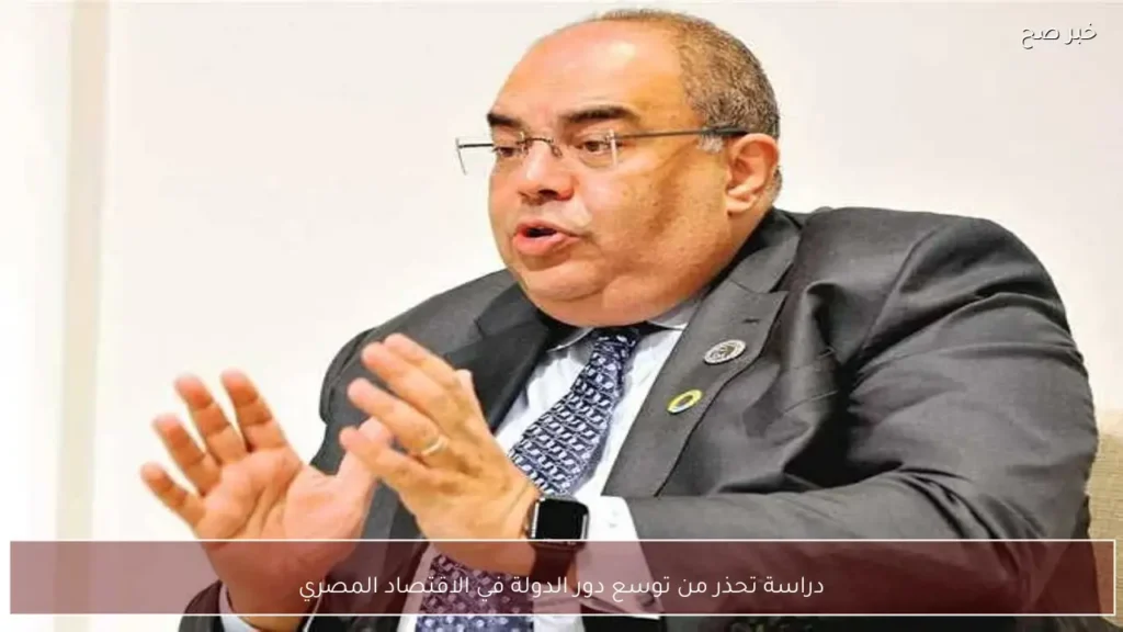 دراسة تحذر من توسع دور الدولة في الاقتصاد المصري