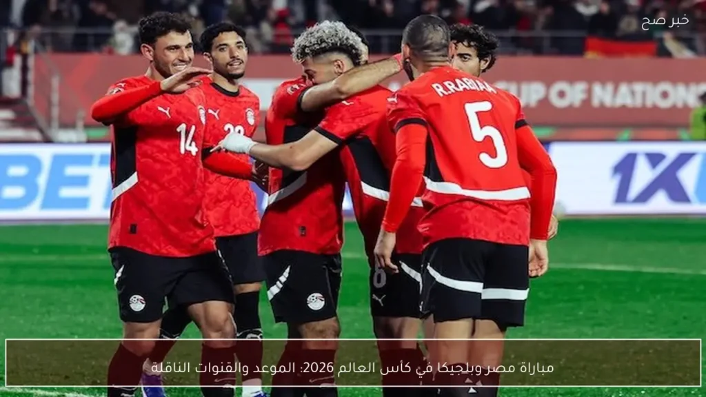 مباراة مصر وبلجيكا في كأس العالم 2026: الموعد والقنوات الناقلة