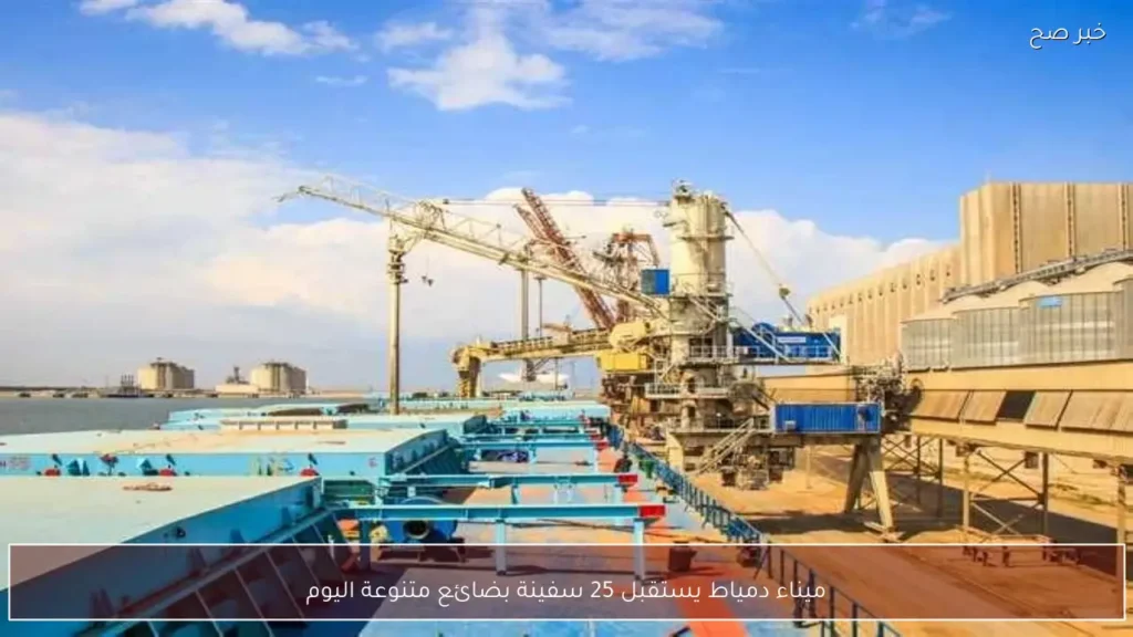 ميناء دمياط يستقبل 25 سفينة بضائع متنوعة اليوم
