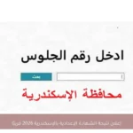 إعلان نتيجة الشهادة الإعدادية بالإسكندرية 2026 قريبًا