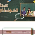 نتيجة الشهادة الإعدادية في المنوفية متاحة قريبًا