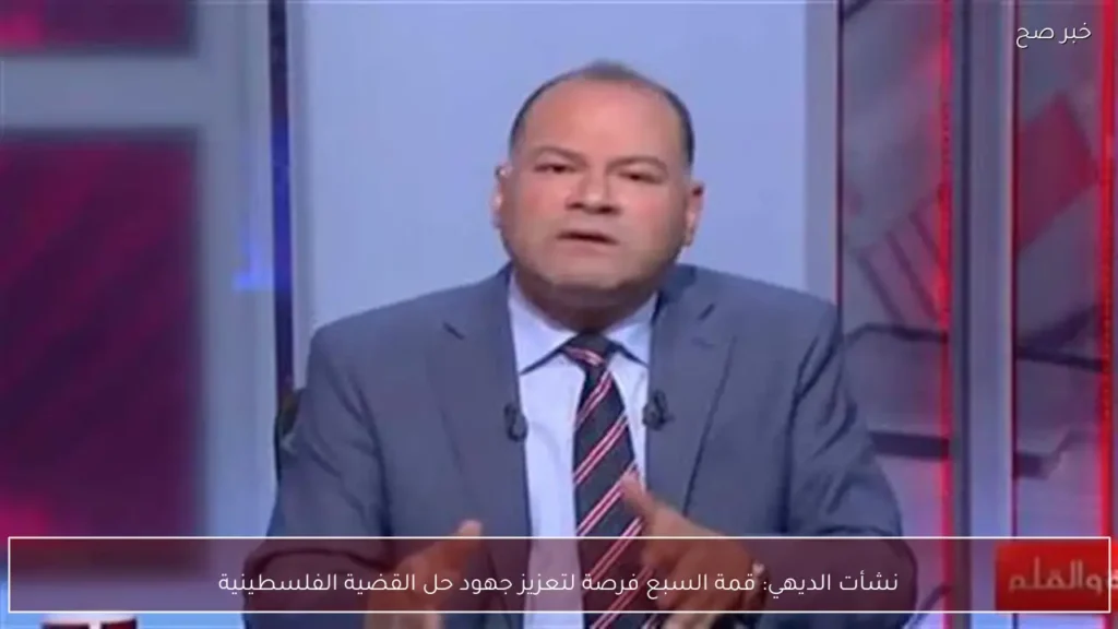نشأت الديهي: قمة السبع فرصة لتعزيز جهود حل القضية الفلسطينية
