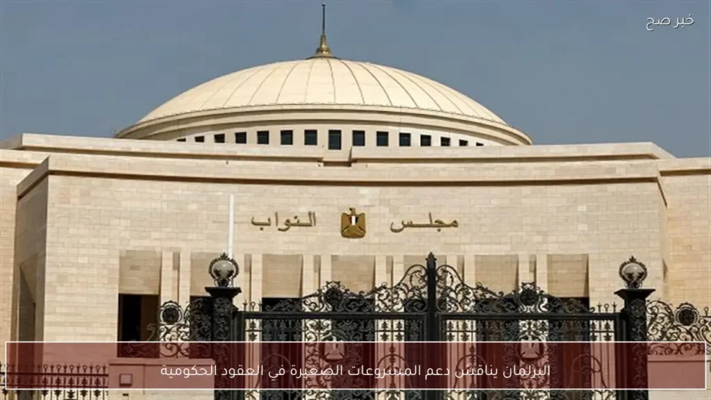 البرلمان يناقش دعم المشروعات الصغيرة في العقود الحكومية