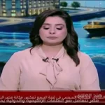 هند الضاوي: مشاركة السيسي في قمة السبع تعكس مكانة مصر الدولية