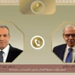مصر تؤكد دعمها للبنان وتدين المساس بسيادته