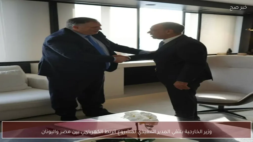 وزير الخارجية يلتقي المدير التنفيذي لمشروع الربط الكهربائي بين مصر واليونان
