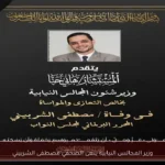 وزير المجالس النيابية ينعى الصحفي مصطفى الشربيني