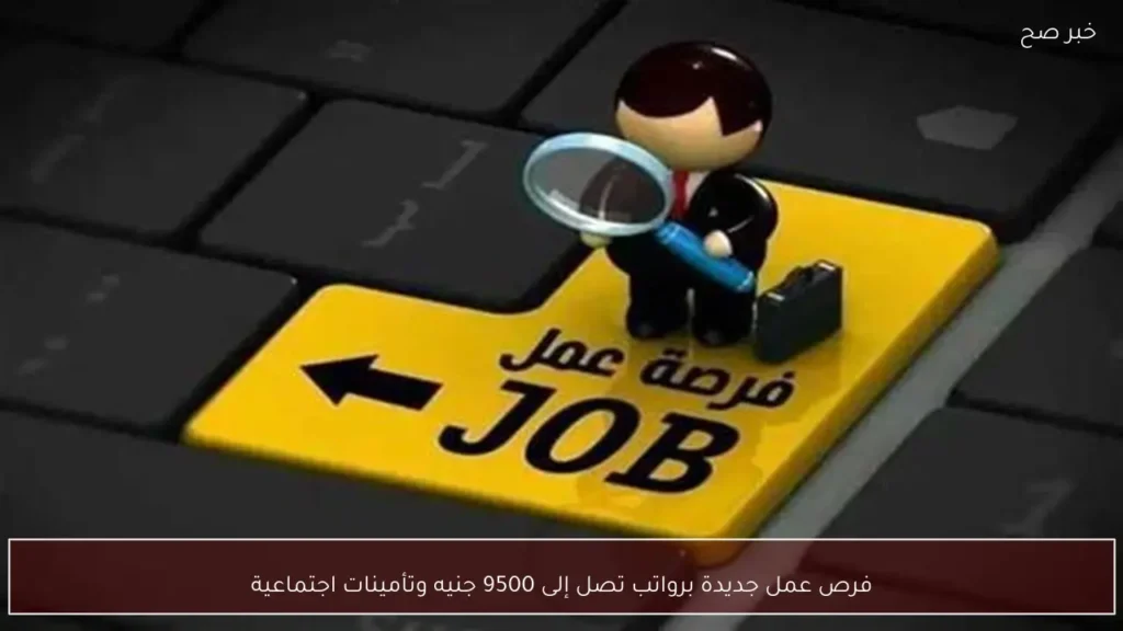 فرص عمل جديدة برواتب تصل إلى 9500 جنيه وتأمينات اجتماعية