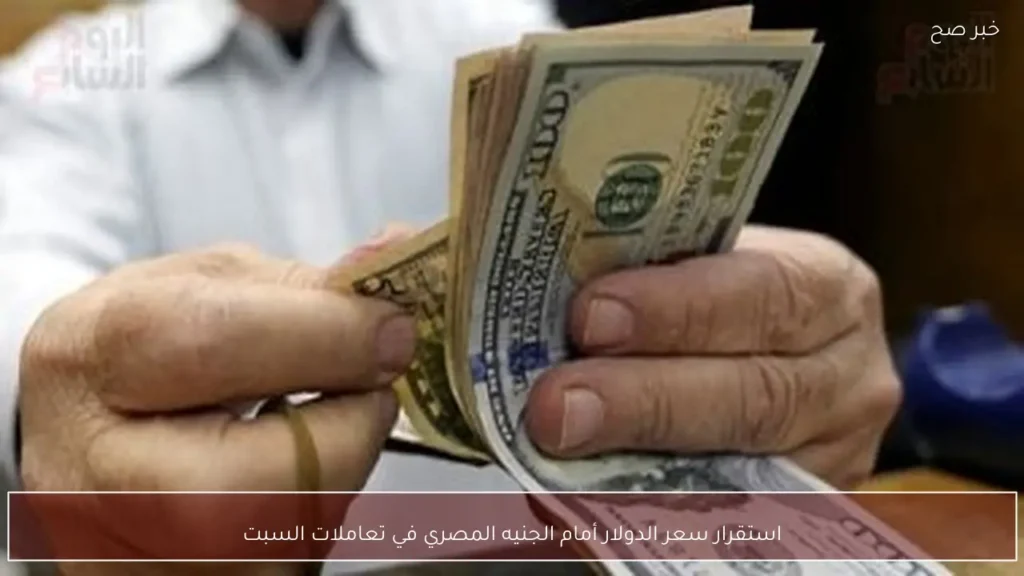 استقرار سعر الدولار أمام الجنيه المصري في تعاملات السبت