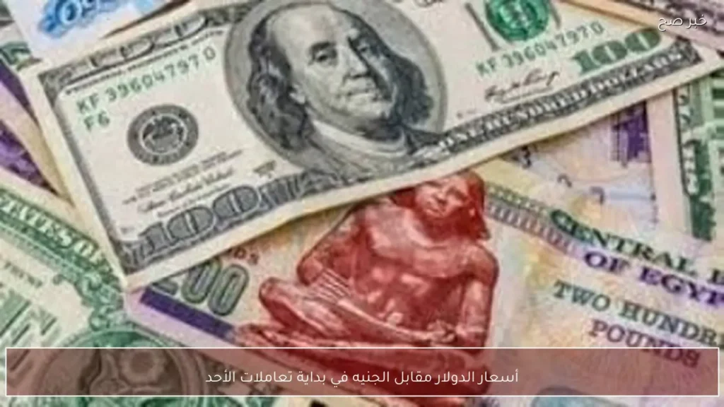 أسعار الدولار مقابل الجنيه في بداية تعاملات الأحد