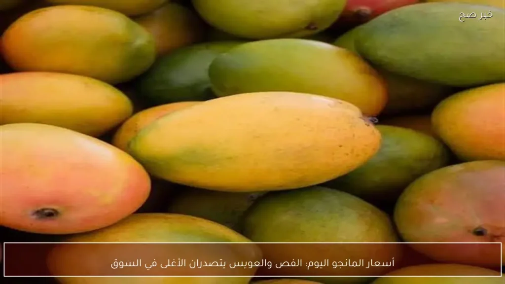 أسعار المانجو اليوم: الفص والعويس يتصدران الأغلى في السوق