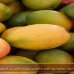 أسعار المانجو اليوم: الفص والعويس يتصدران الأغلى في السوق