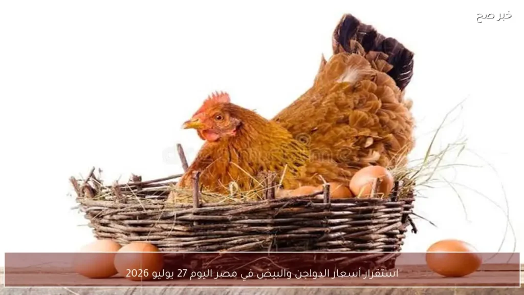 استقرار أسعار الدواجن والبيض في مصر اليوم 27 يوليو 2026