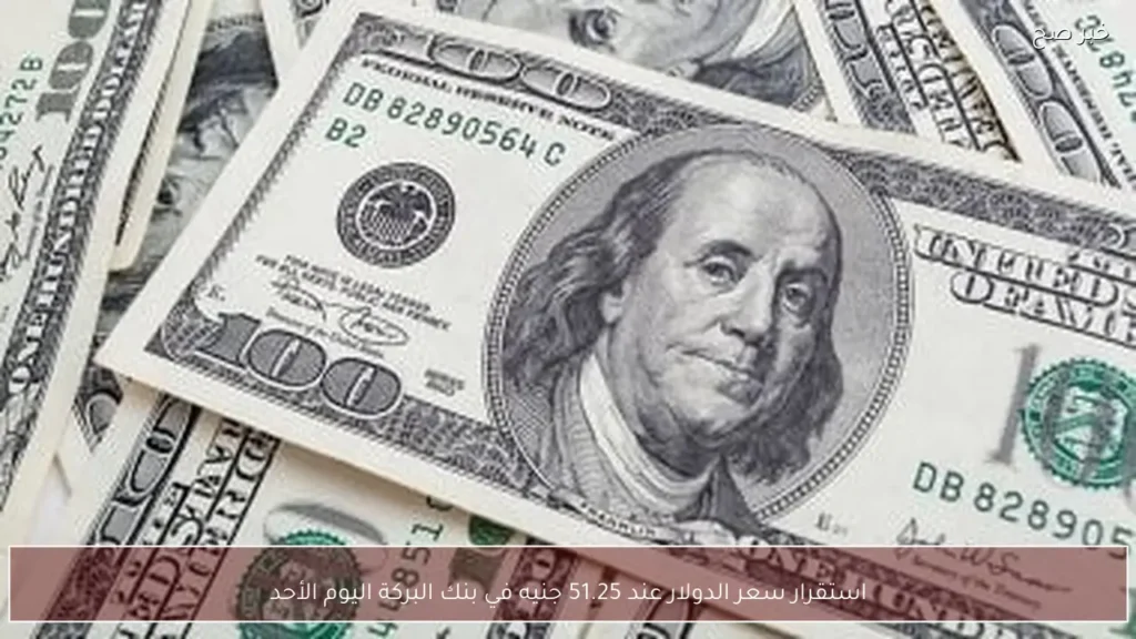 استقرار سعر الدولار عند 51.25 جنيه في بنك البركة اليوم الأحد