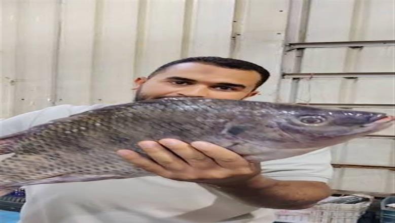 سمك