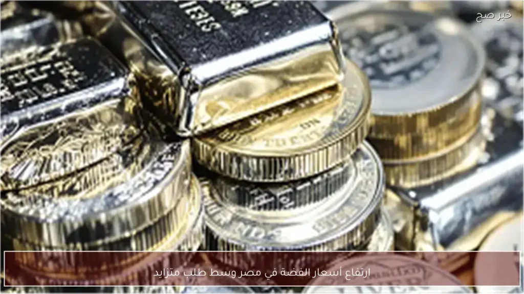 ارتفاع أسعار الفضة في مصر وسط طلب متزايد