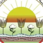وزارة الزراعة ترد على ادعاءات زيادة وزن الموز: معلومات غير علمية