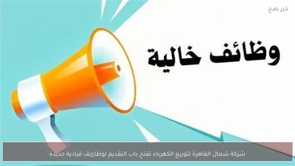 شركة شمال القاهرة لتوزيع الكهرباء تفتح باب التقديم لوظائف قيادية جديدة