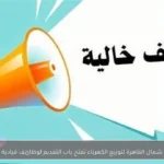 شركة شمال القاهرة لتوزيع الكهرباء تفتح باب التقديم لوظائف قيادية جديدة