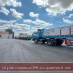 الهلال الأحمر المصري يرسل 2596 طن مساعدات لقطاع غزة