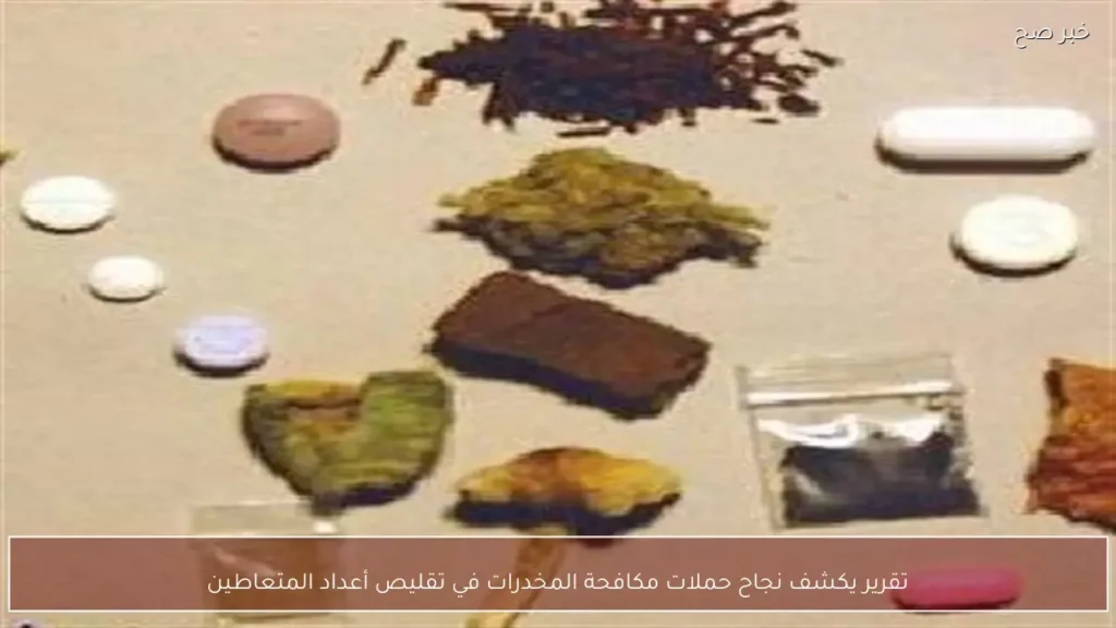 تقرير يكشف نجاح حملات مكافحة المخدرات في تقليص أعداد المتعاطين