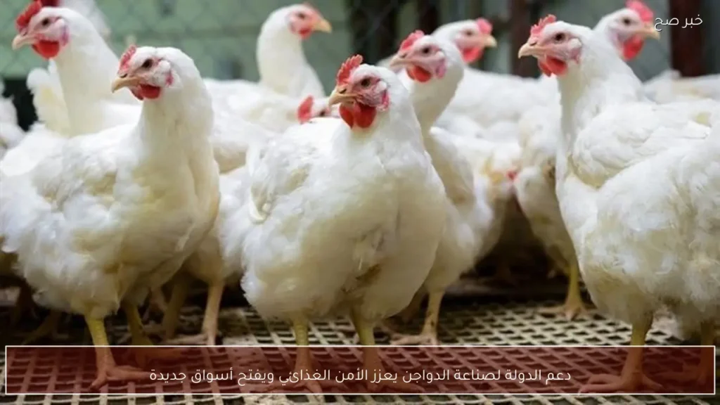دعم الدولة لصناعة الدواجن يعزز الأمن الغذائي ويفتح أسواق جديدة