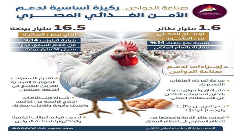 الدواجن