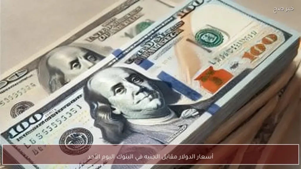 أسعار الدولار مقابل الجنيه في البنوك اليوم الأحد
