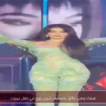 هيفاء وهبي تتألق بتصميم شربل زوي في حفل بيروت