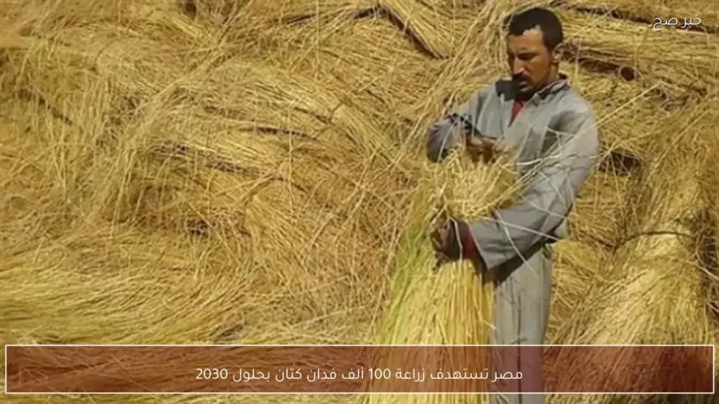مصر تستهدف زراعة 100 ألف فدان كتان بحلول 2030