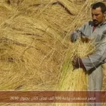 مصر تستهدف زراعة 100 ألف فدان كتان بحلول 2030