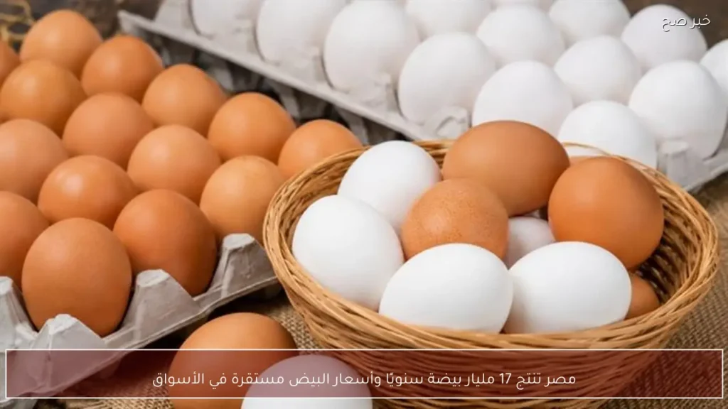 مصر تنتج 17 مليار بيضة سنويًا وأسعار البيض مستقرة في الأسواق
