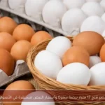 مصر تنتج 17 مليار بيضة سنويًا وأسعار البيض مستقرة في الأسواق