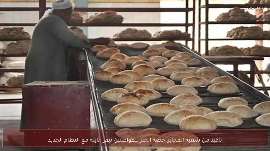 تأكيد من شعبة المخابز: حصة الخبز للمواطنين تبقى ثابتة مع النظام الجديد