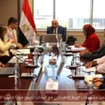 مصر تعزز مشروعات الربط الكهربائي مع اليونان لتصبح مركزًا إقليميًا للطاقة