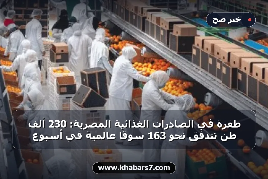 طفرة في الصادرات الغذائية المصرية: 230 ألف طن تتدفق نحو 163 سوقاً عالمية في أسبوع