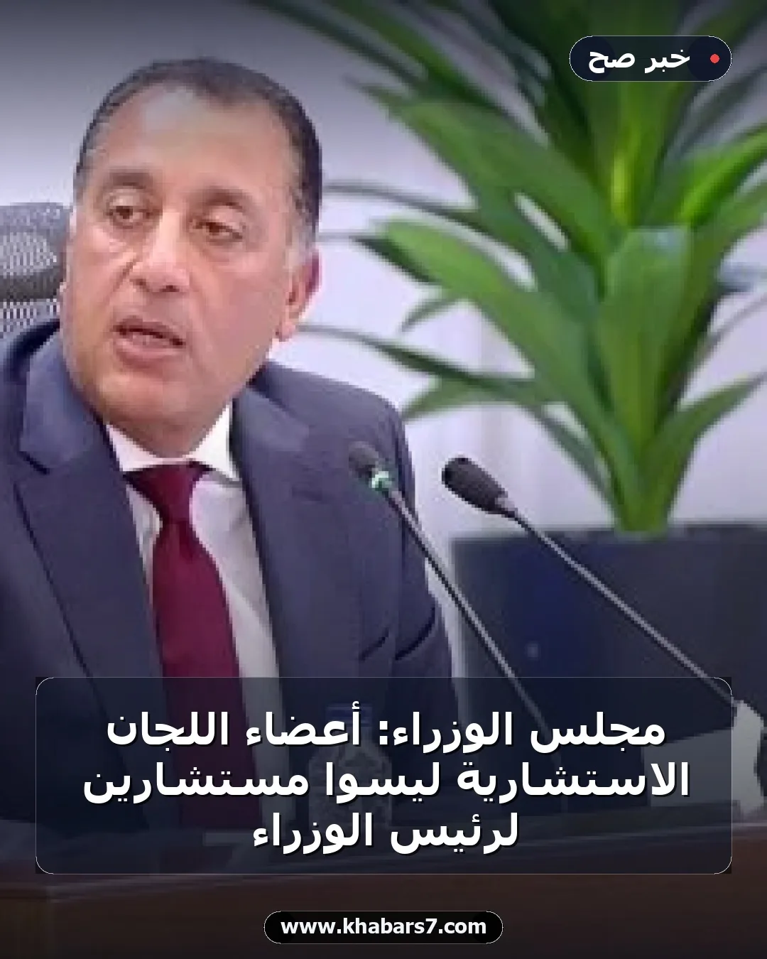 مجلس الوزراء: أعضاء اللجان الاستشارية ليسوا مستشارين لرئيس الوزراء