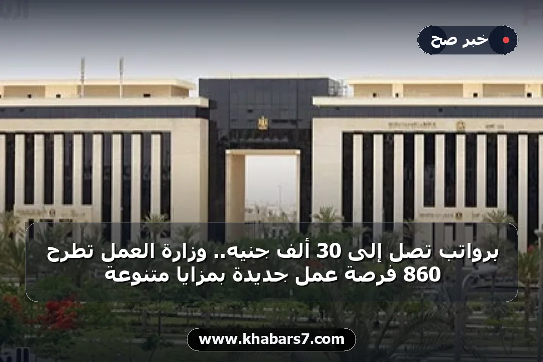 برواتب تصل إلى 30 ألف جنيه.. وزارة العمل تطرح 860 فرصة عمل جديدة بمزايا متنوعة