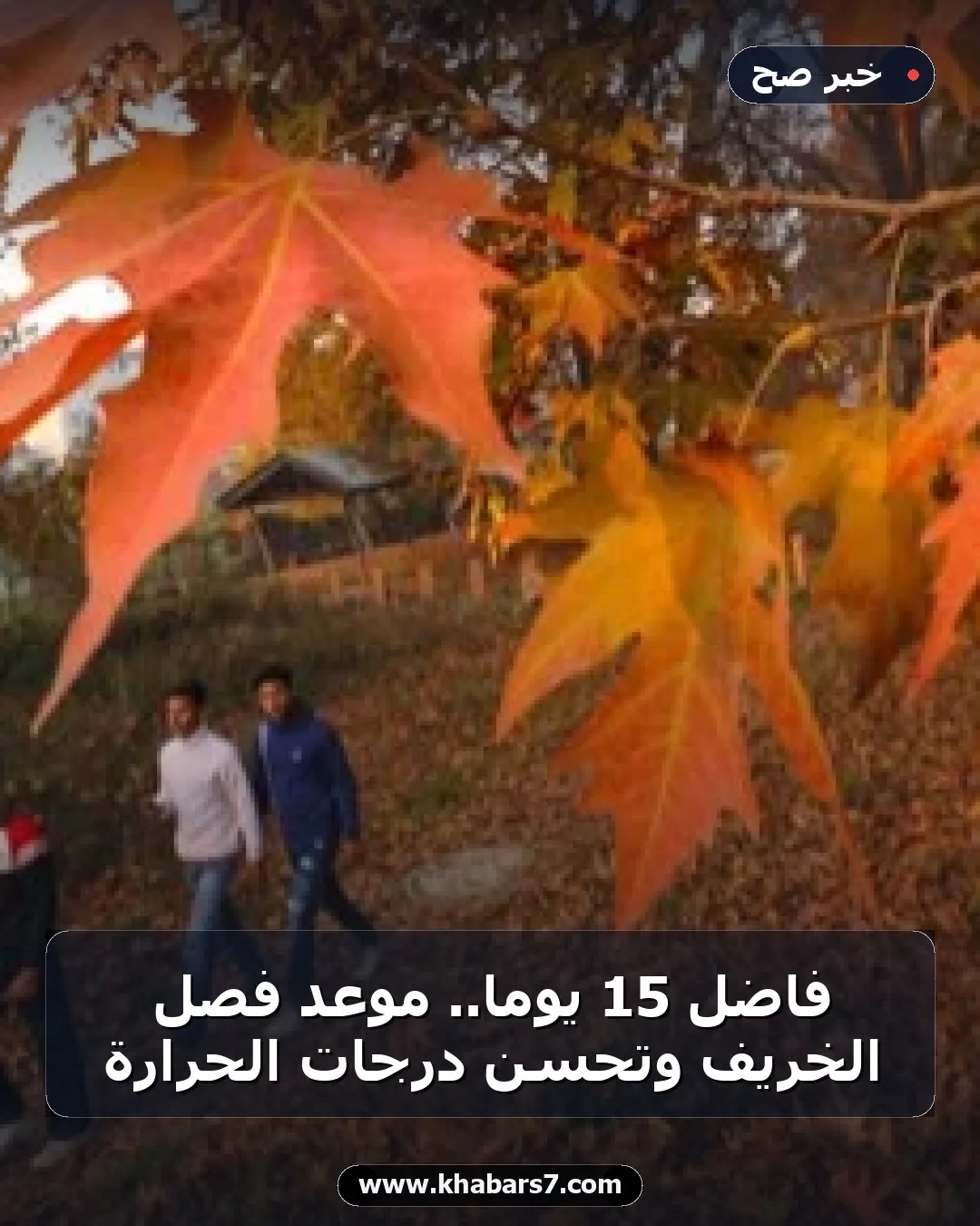 فاضل 15 يوما.. موعد فصل الخريف وتحسن درجات الحرارة