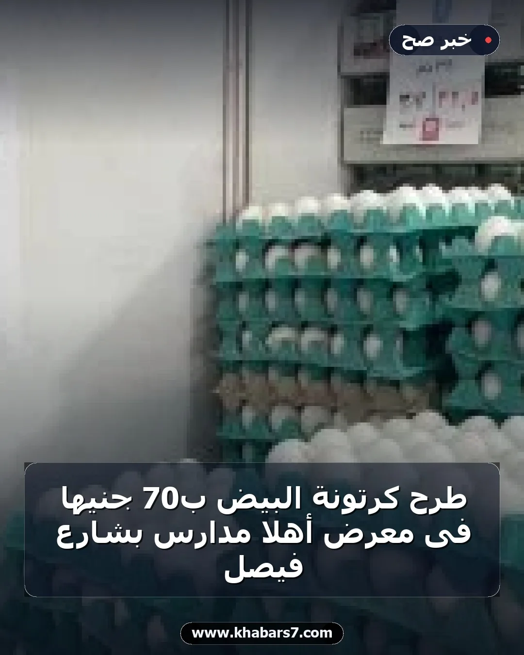 طرح كرتونة البيض بـ70 جنيها فى معرض أهلاً مدارس بشارع فيصل