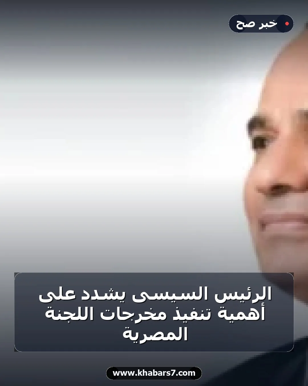الرئيس السيسى يشدد على أهمية تنفيذ مخرجات اللجنة المصرية