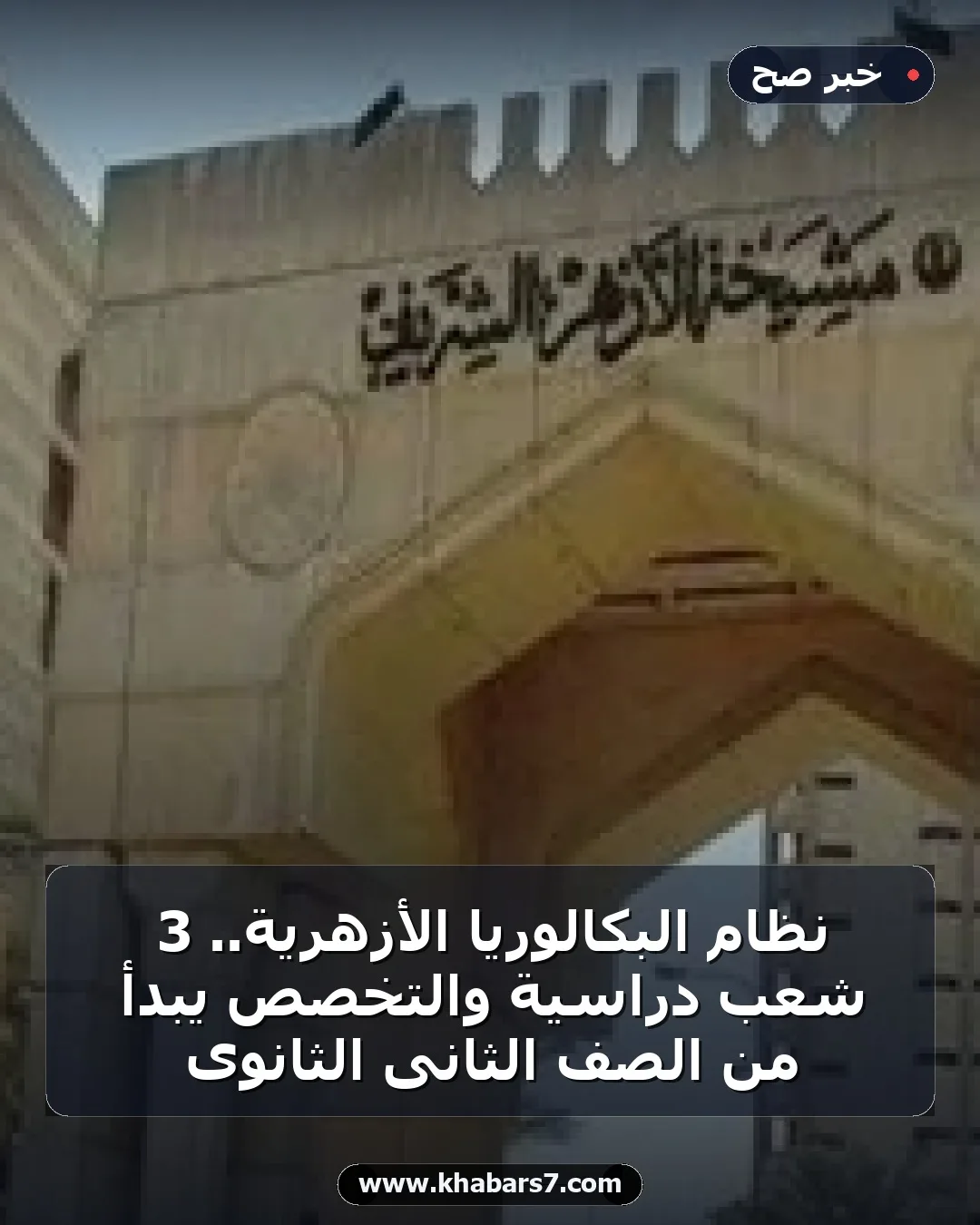 نظام البكالوريا الأزهرية.. 3 شعب دراسية والتخصص يبدأ من الصف الثانى الثانوى