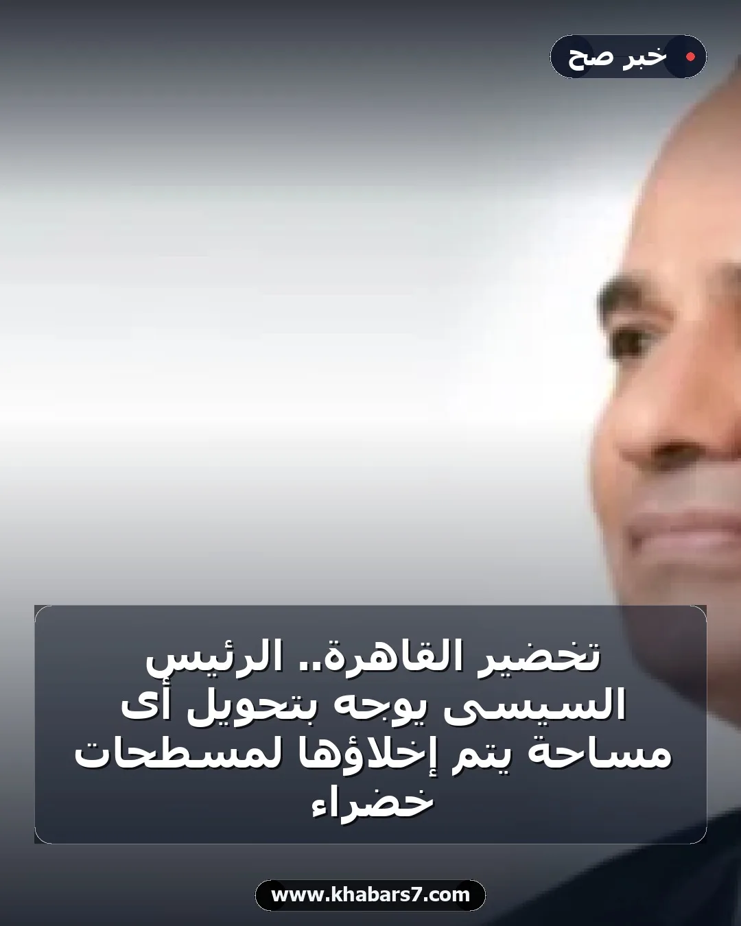تخضير القاهرة.. الرئيس السيسى يوجه بتحويل أى مساحة يتم إخلاؤها لمسطحات خضراء