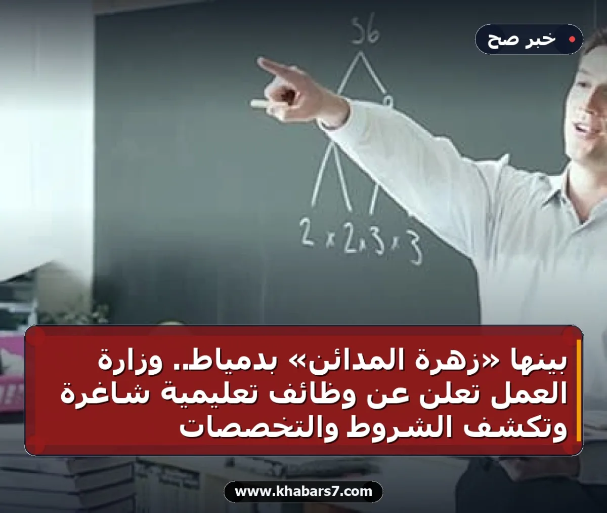 بينها «زهرة المدائن» بدمياط.. وزارة العمل تعلن عن وظائف تعليمية شاغرة وتكشف الشروط والتخصصات