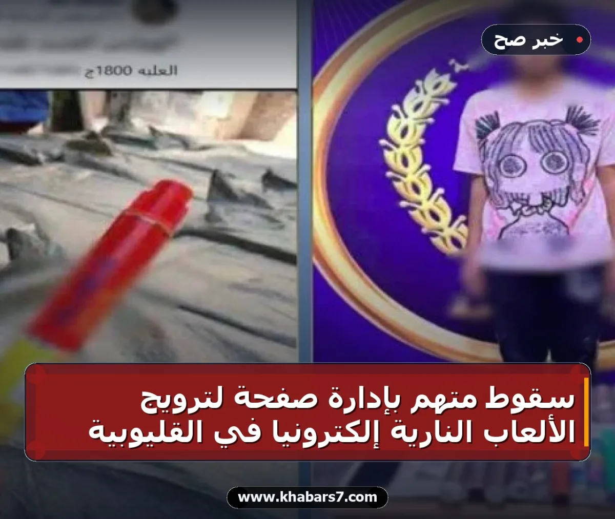 سقوط متهم بإدارة صفحة لترويج الألعاب النارية إلكترونياً في القليوبية