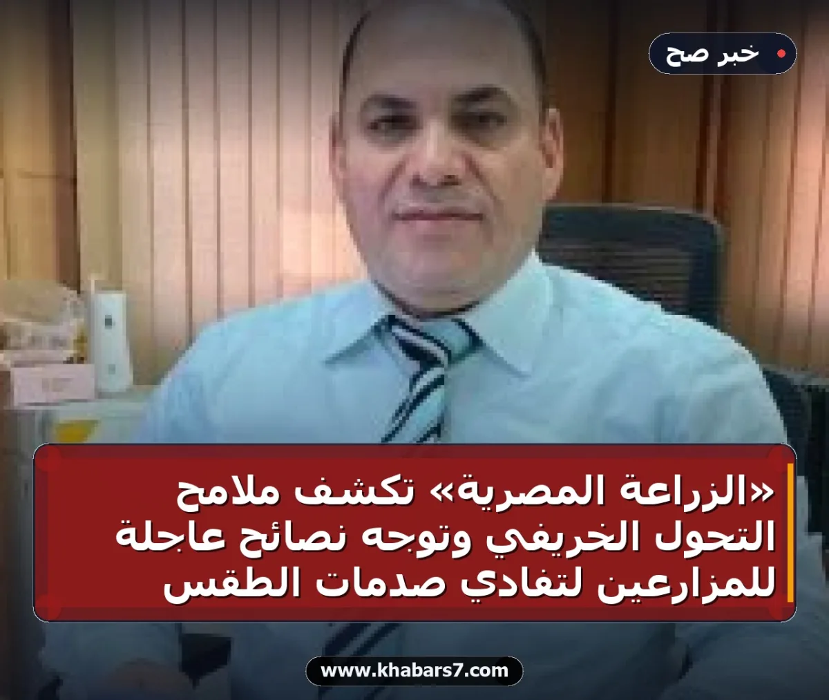 «الزراعة المصرية» تكشف ملامح التحول الخريفي وتوجه نصائح عاجلة للمزارعين لتفادي صدمات الطقس