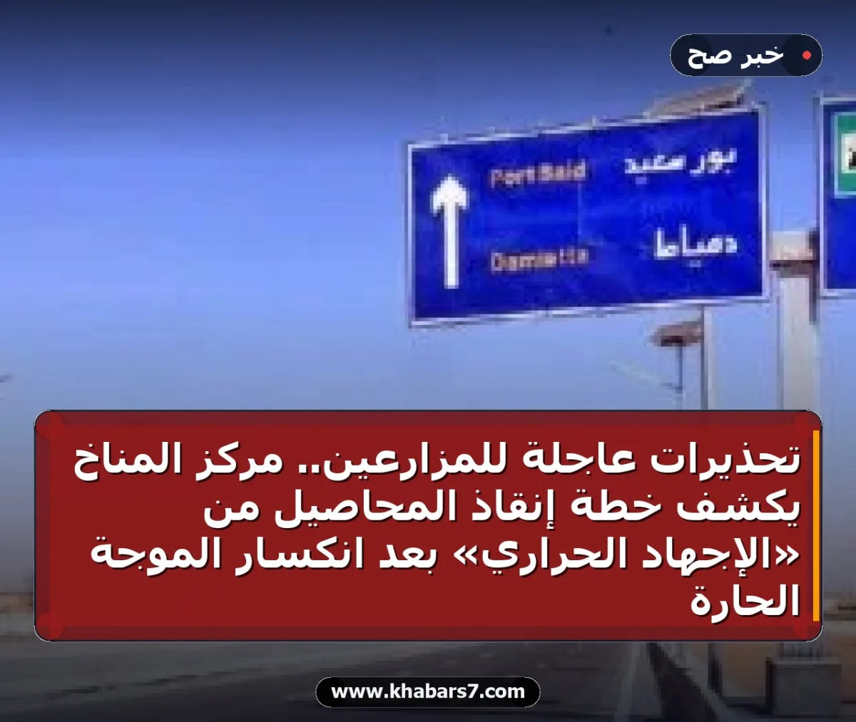 تحذيرات عاجلة للمزارعين.. مركز المناخ يكشف خطة إنقاذ المحاصيل من «الإجهاد الحراري» بعد انكسار الموجة الحارة