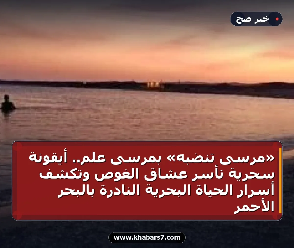 «مرسى تنضبه» بمرسى علم.. أيقونة سحرية تأسر عشاق الغوص وتكشف أسرار الحياة البحرية النادرة بالبحر الأحمر